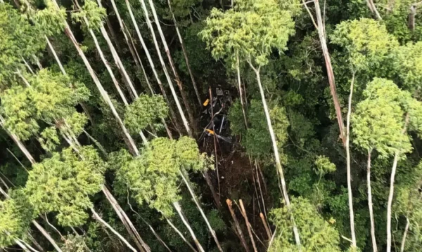 FAB encerra ocorrência sobre helicóptero encontrado em Paraibuna | Foto: PMESP
