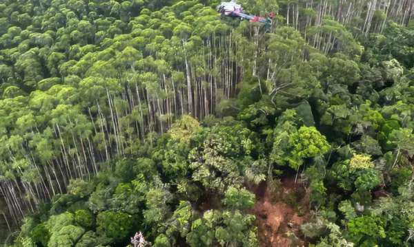Helicóptero que caiu em Paraibuna bateu em vegetação antes da queda | Foto: PMESP