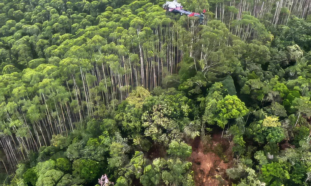 Helicóptero que caiu em Paraibuna bateu em vegetação antes da queda | Foto: PMESP