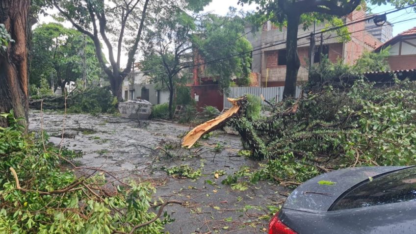 chuvas em São Paulo