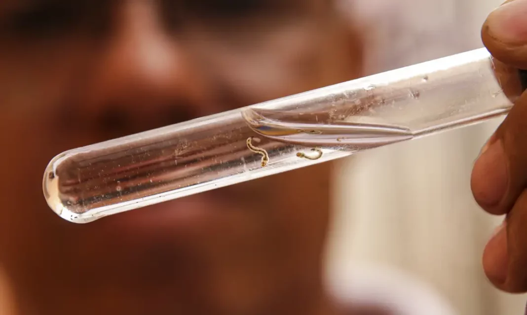 Brasil ultrapassa a marca de um milhão de casos de dengue | Foto: Marcelo Camargo/Agência Brasil