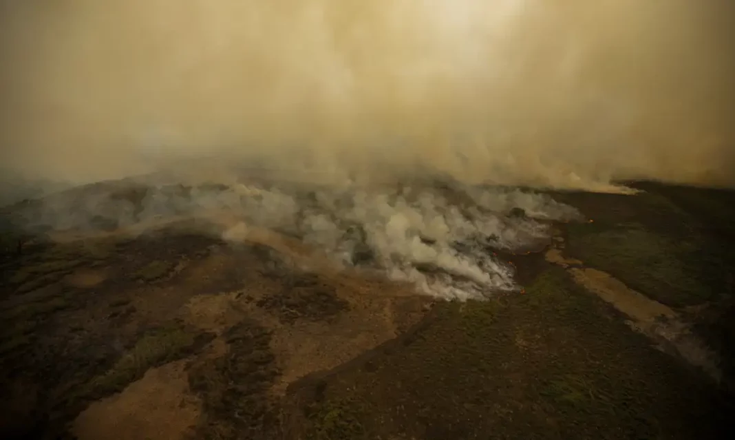 Pesquisa mede emissão de óxido nitroso na Amazônia e no Pantanal | Foto: Joédson Alves/Agência Brasil