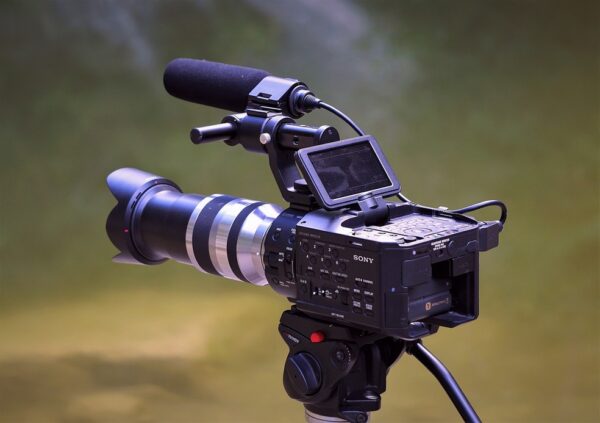 Mostra Macambira de Cinema abre inscrições para filmes realizados por mulheres — Foto: Pixabay