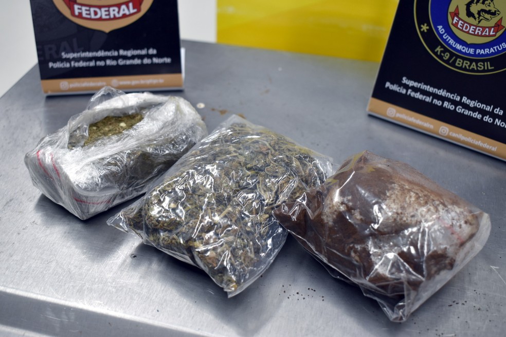 PF apreende em natal 1 quilo de maconha enviado pelos Correios — Foto: Polícia Federal/Divulgação