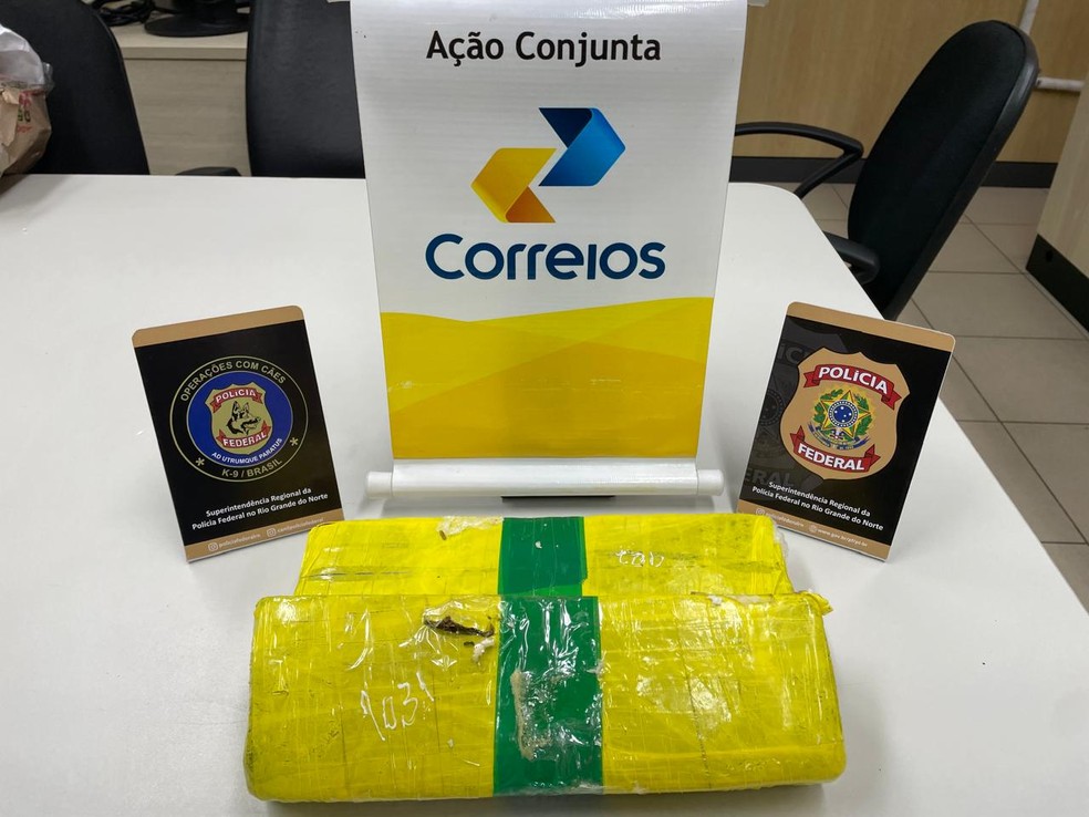 Maconha foi apreendida durante fiscalização de rotina da PF — Foto: Divulgação/PF