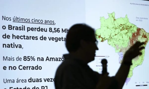 Dados são do levantamento da MapBiomas, divulgados nesta quarta-feira. Foto: Marcelo Camargo/Agência Brasil