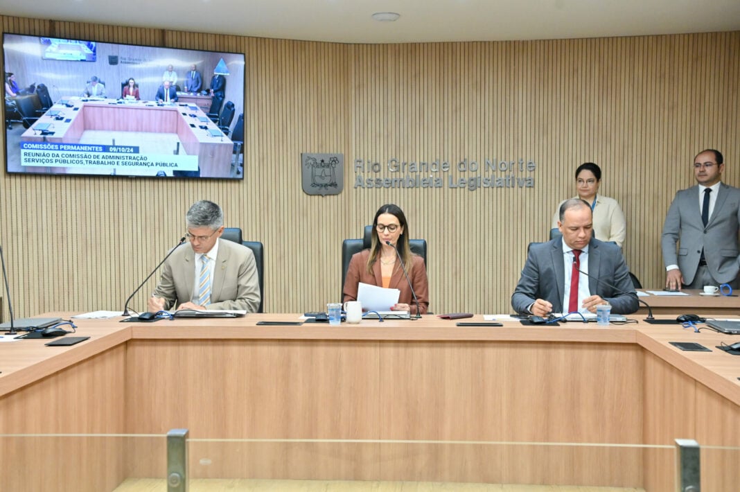 O PL tem como objetivo desburocratizar e acelerar o processo de funcionamento pleno de uma empresa. Foto: João Gilberto/ALRN